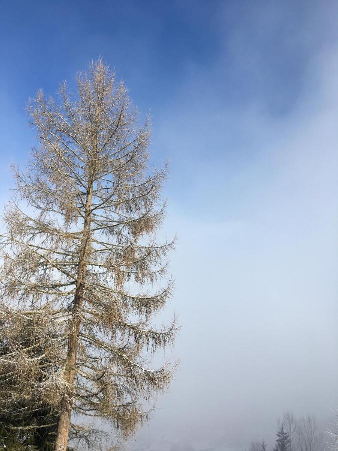 Grimming Appartement Schladming Sonnberg  Exteriér fotografie
