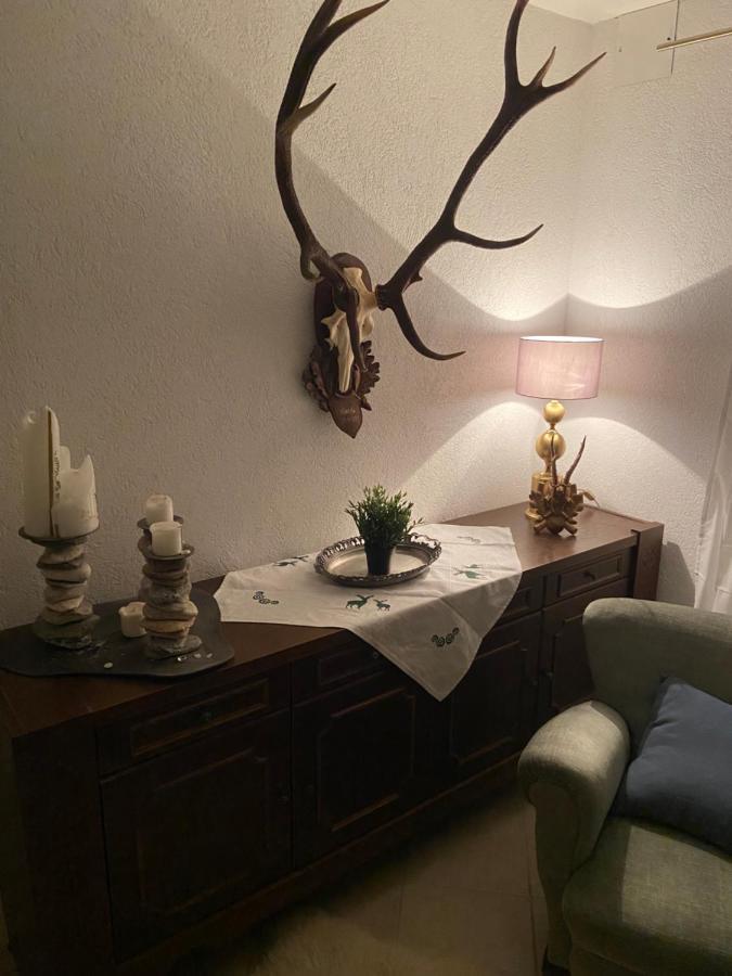 Grimming Appartement Schladming Sonnberg  Exteriér fotografie